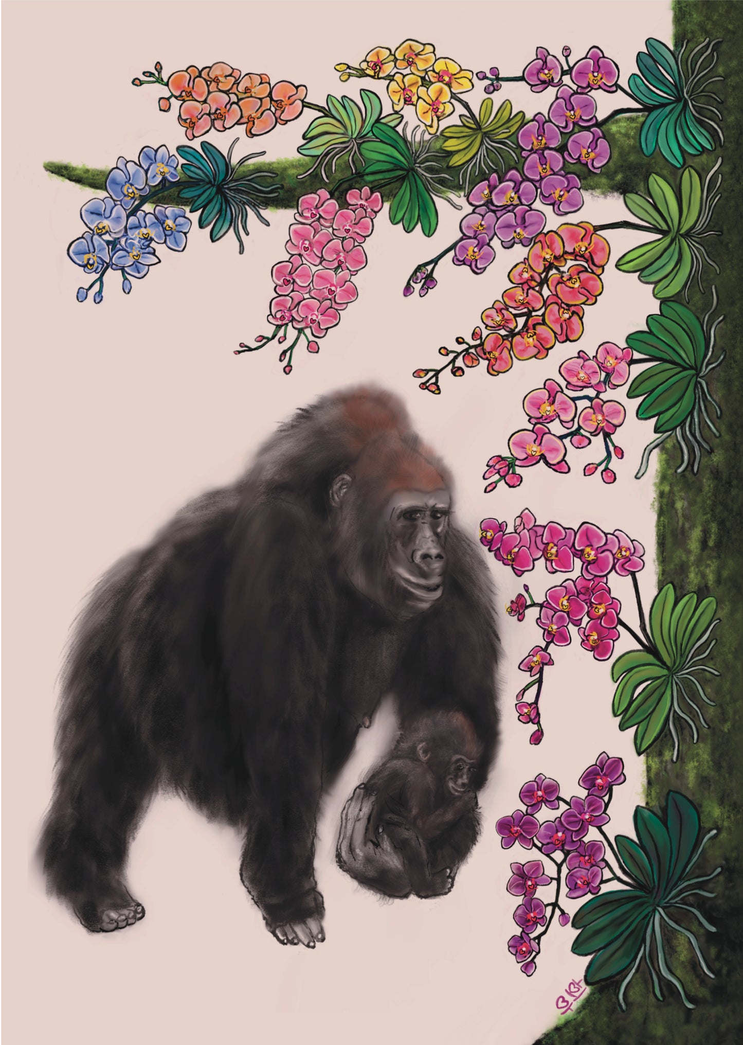 고릴라와 난 Gorilla & Orchid