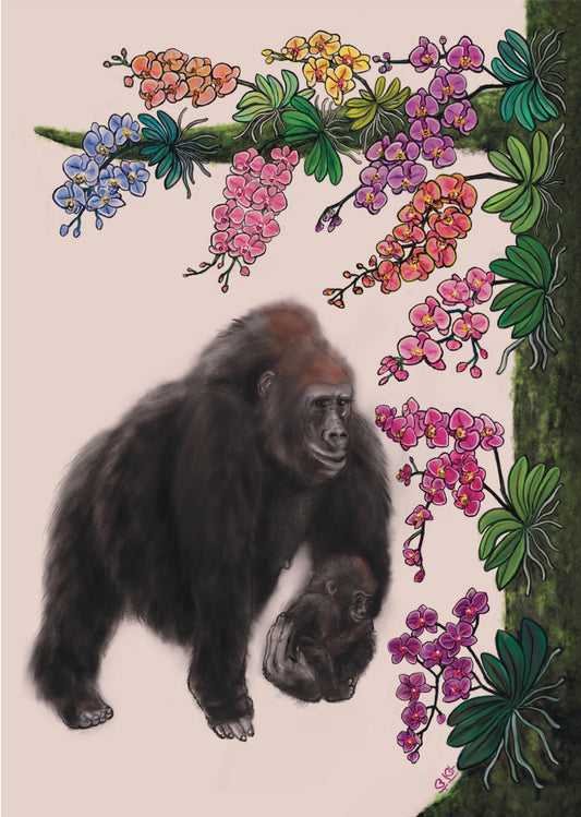 고릴라와 난 Gorilla & Orchid